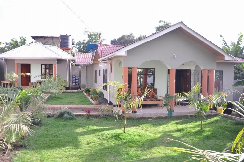 Blue Elephant Hostel image 1