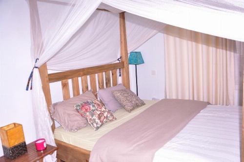 Blue Elephant Hostel image 11