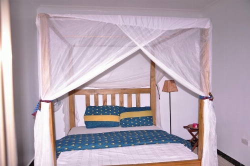 Blue Elephant Hostel image 19