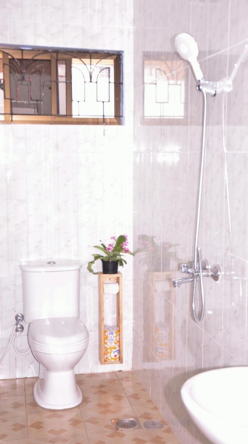 Blue Elephant Hostel image 2