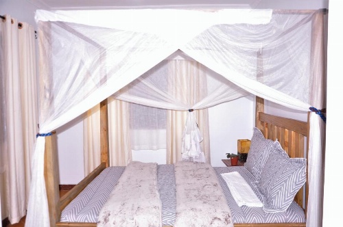 Blue Elephant Hostel image 22