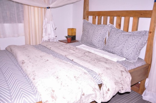 Blue Elephant Hostel image 25