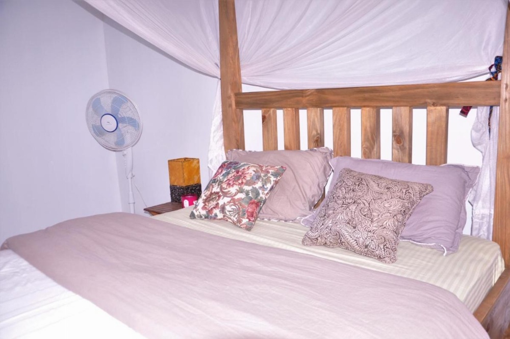 Blue Elephant Hostel